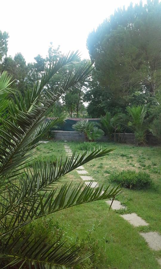 A57 Bed and Breakfast Casal Palocco Εξωτερικό φωτογραφία