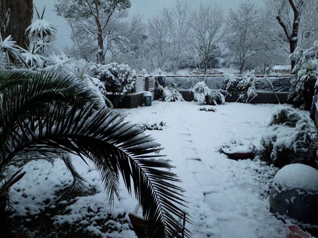 A57 Bed and Breakfast Casal Palocco Εξωτερικό φωτογραφία